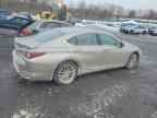 2020 LEXUS ES 300H