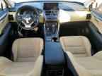 2019 LEXUS NX 300H