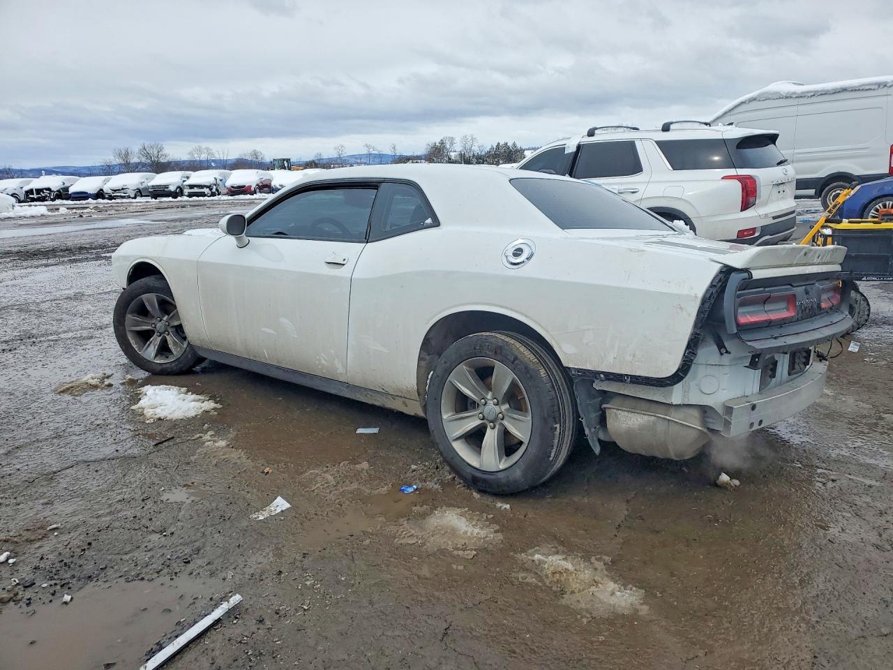 2019 DODGE Challenger