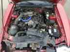2000 FORD MUSTANG