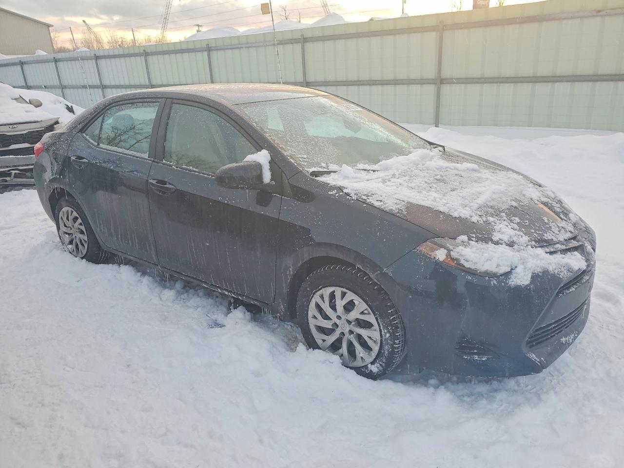 2019 TOYOTA COROLLA