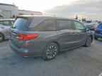 2024 HONDA ODYSSEY