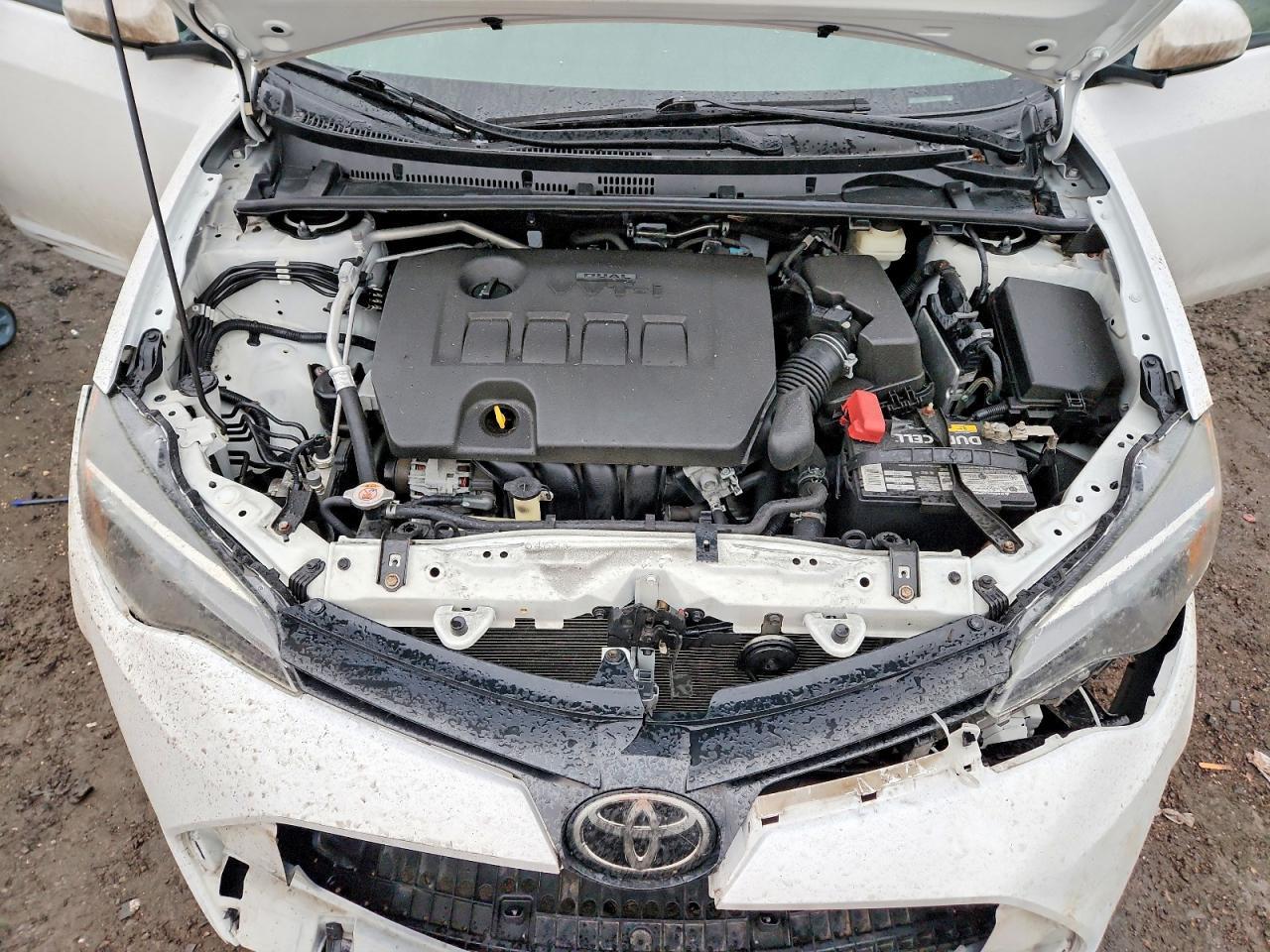 2019 TOYOTA COROLLA