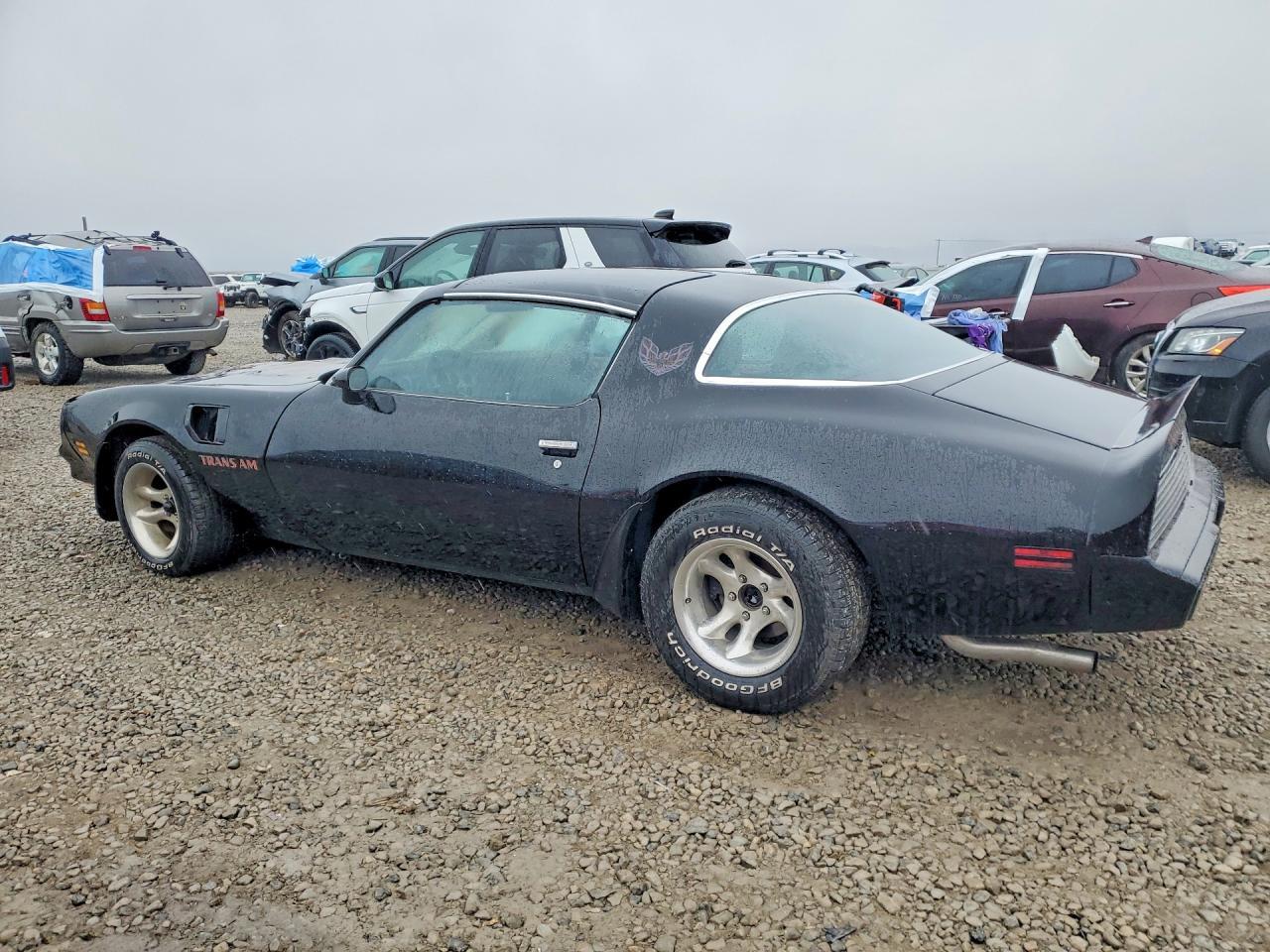 1981 PONTIAC Firebird