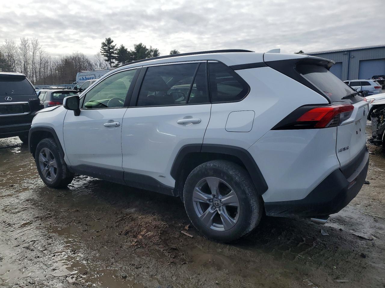 2024 TOYOTA RAV4