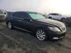 2007 LEXUS LS 460