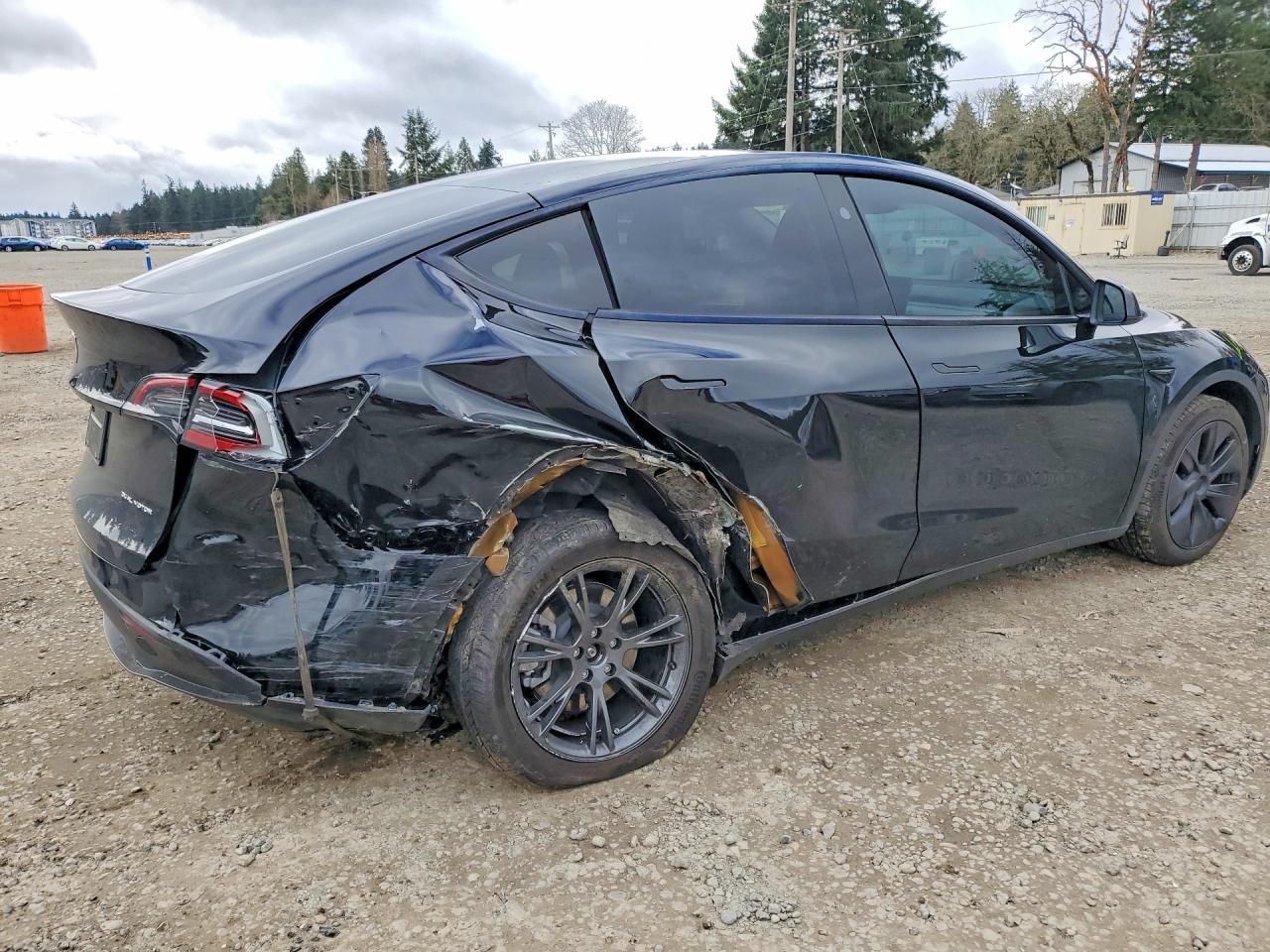 2025 TESLA MODEL Y