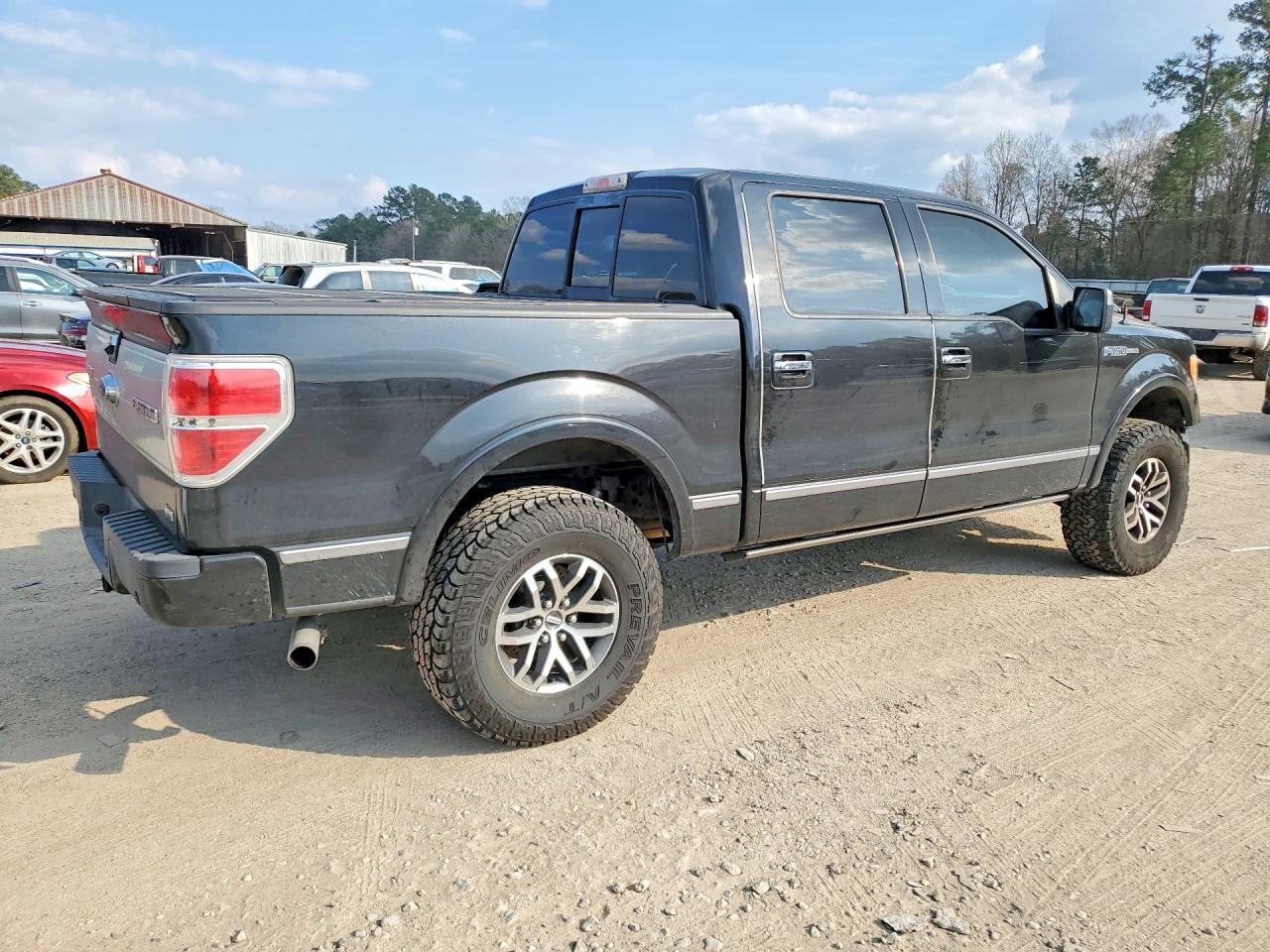 2010 FORD F-150 Lightning