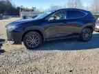 2024 LEXUS NX 350
