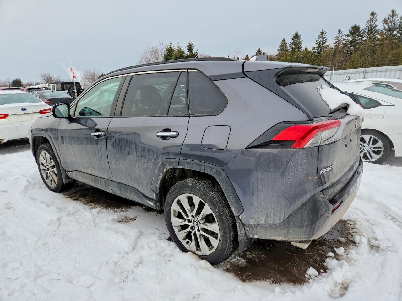 2019 TOYOTA RAV4
