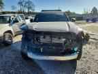 2025 TOYOTA 4Runner