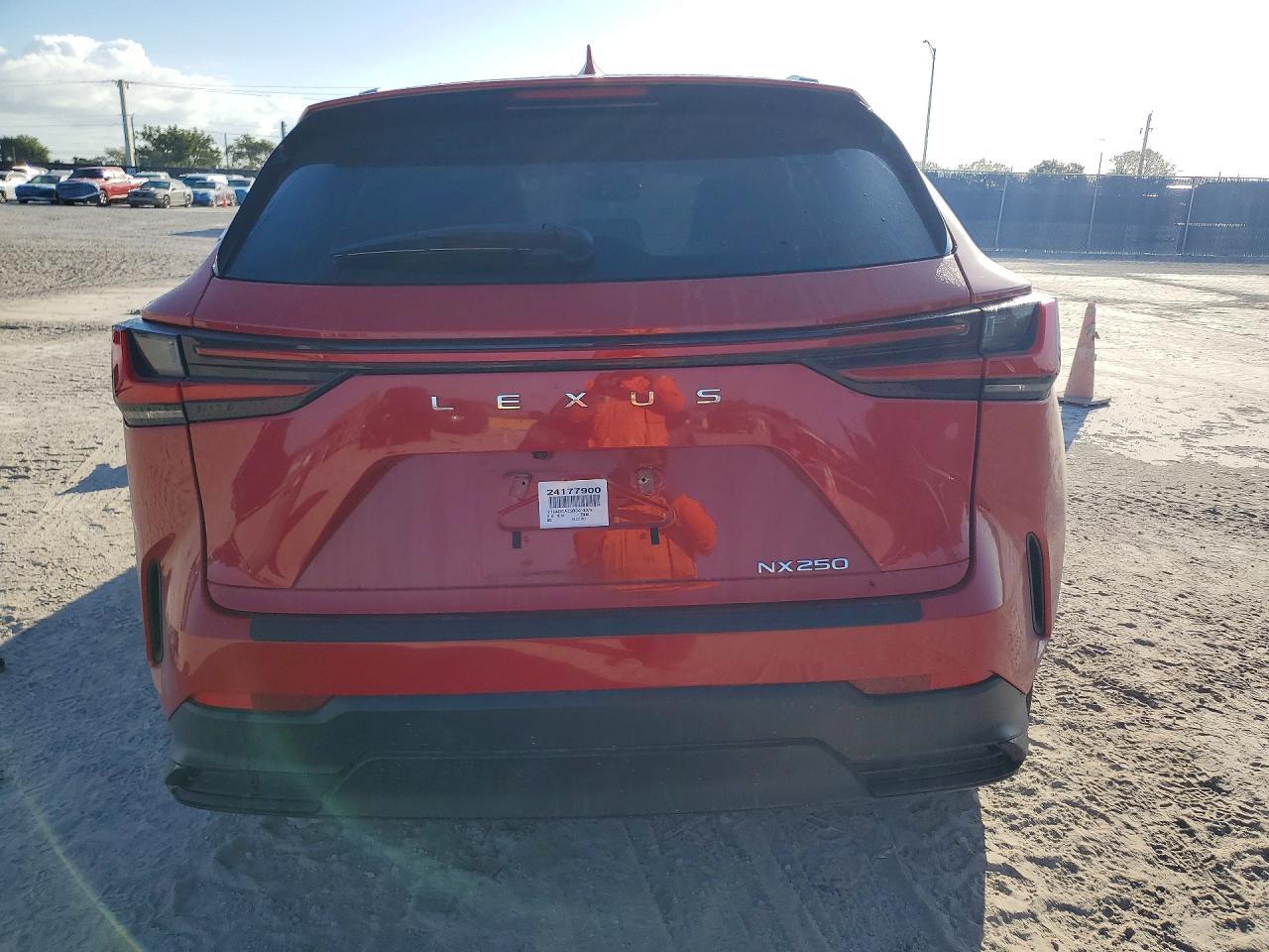 2024 LEXUS NX 250