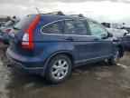 2007 HONDA CR-V