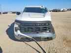2025 CHEVROLET Silverado
