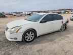 2004 NISSAN Maxima