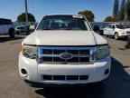 2009 FORD ESCAPE