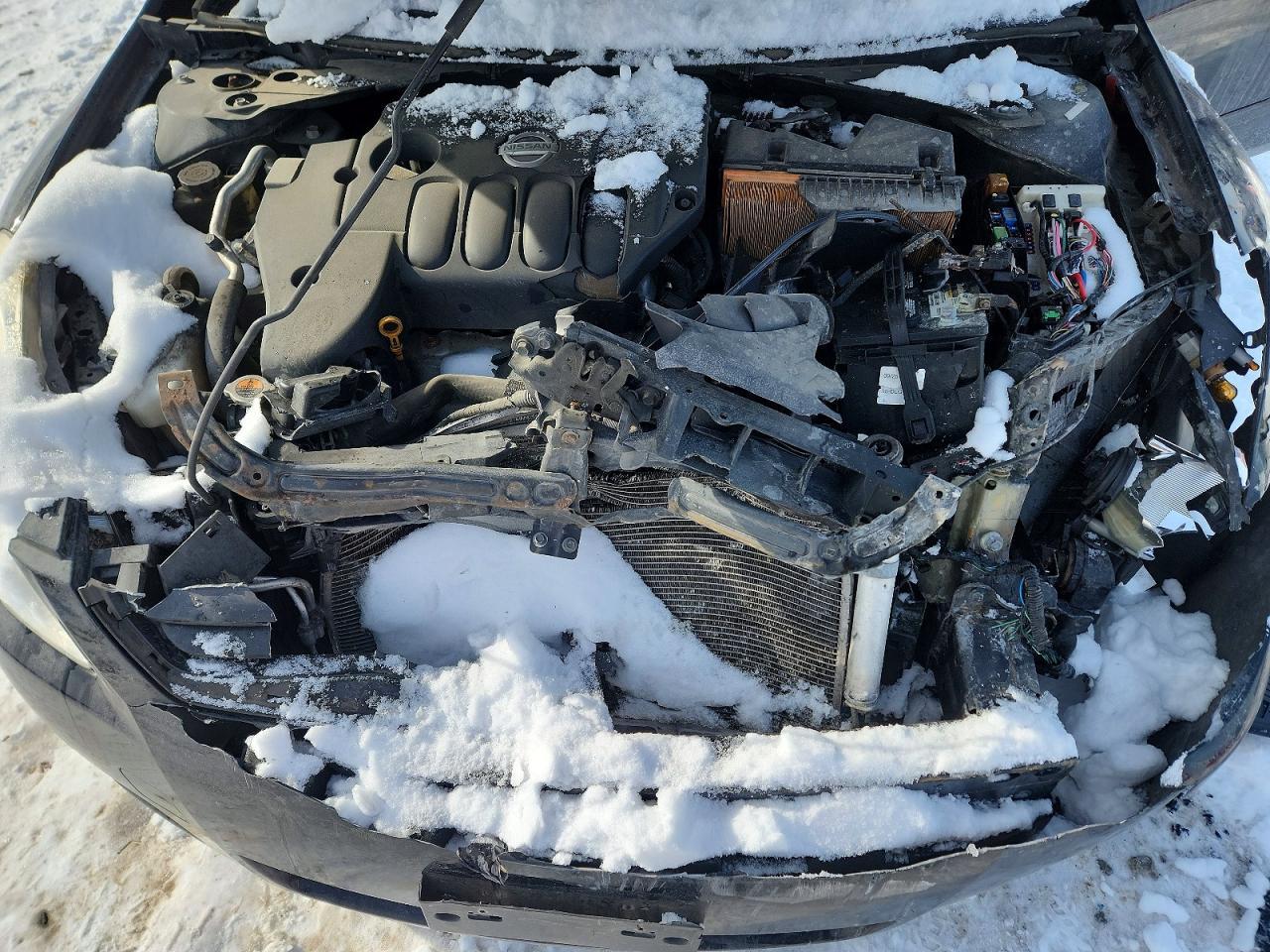 2010 NISSAN ALTIMA