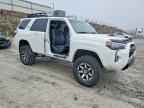 2023 TOYOTA 4Runner