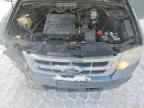 2010 FORD ESCAPE