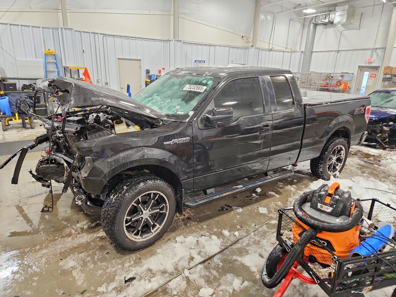 2014 FORD F-150
