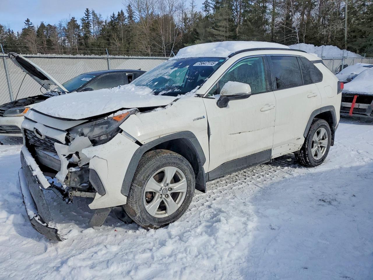 2019 TOYOTA RAV4