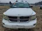2011 DODGE Dakota