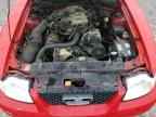 1999 FORD MUSTANG
