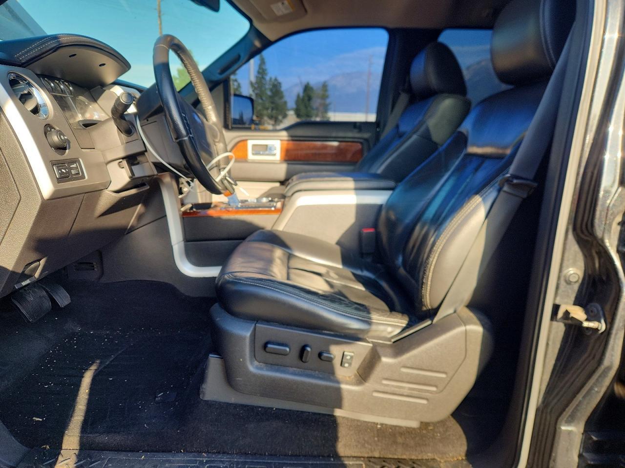 2010 FORD F-150 Lightning