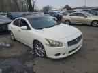 2011 NISSAN Maxima