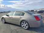 2004 NISSAN Maxima