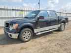 2013 FORD F-150 Lightning