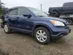 2007 HONDA CR-V
