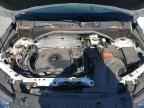 2024 CHEVROLET Trailblaze