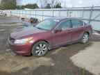 2010 HONDA ACCORD