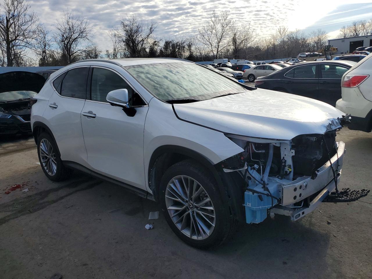 2025 LEXUS NX 350