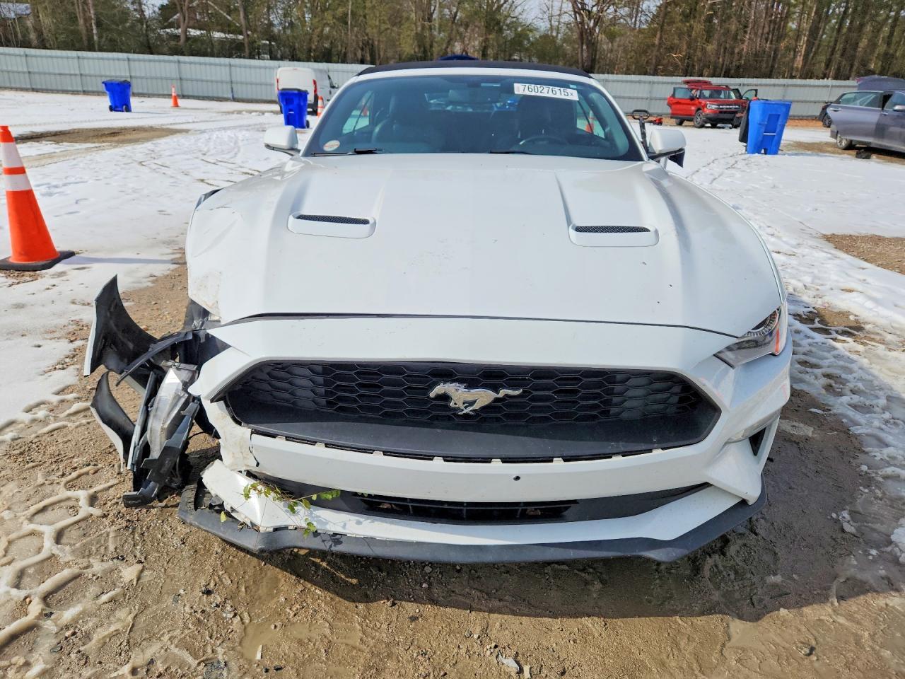 2019 FORD MUSTANG