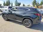 2023 LEXUS NX 350
