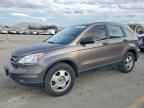 2010 HONDA CR-V