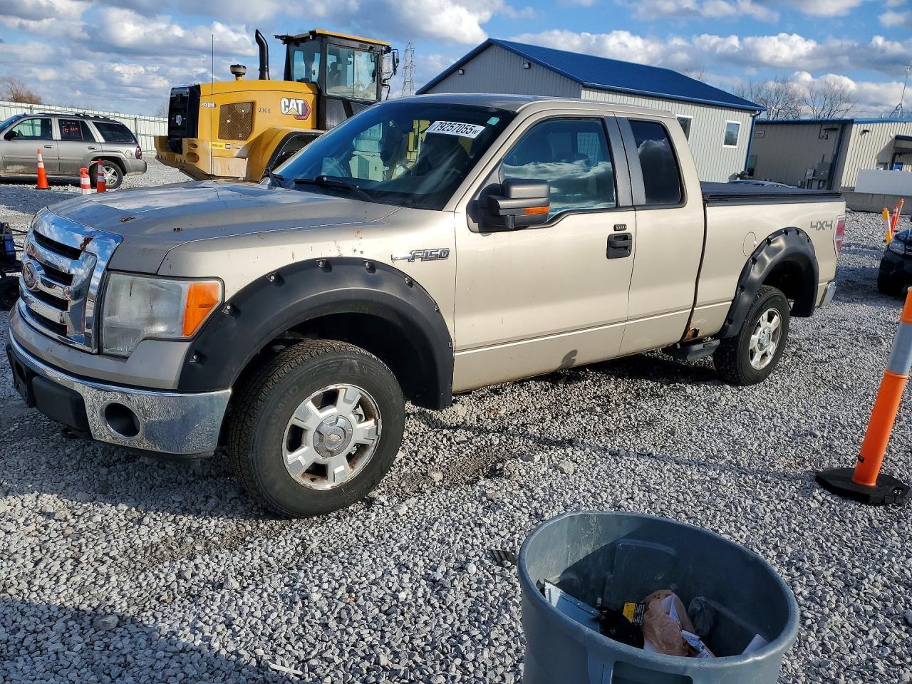 2010 FORD F-150
