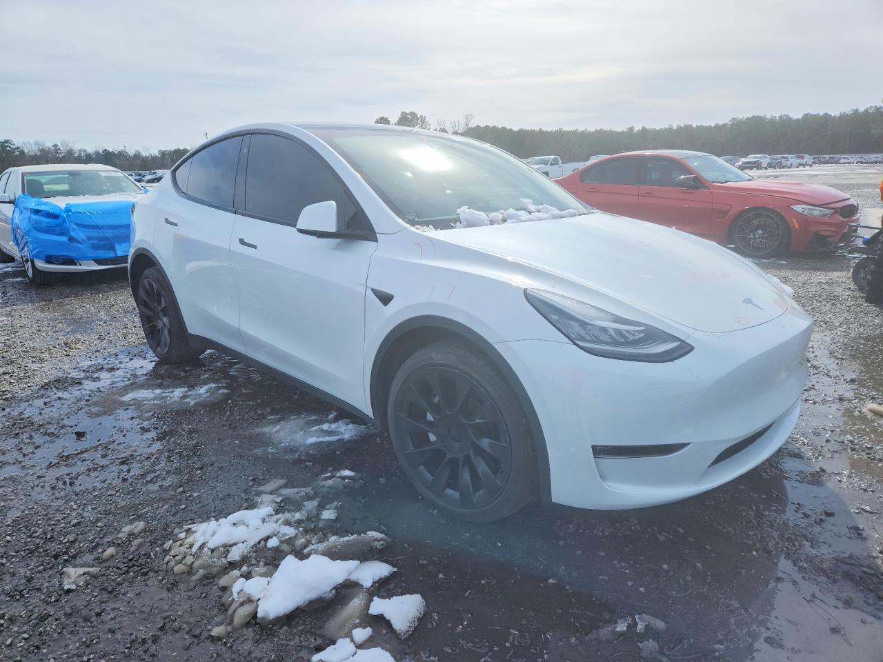 2023 TESLA MODEL Y