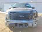2014 FORD F-150 Lightning
