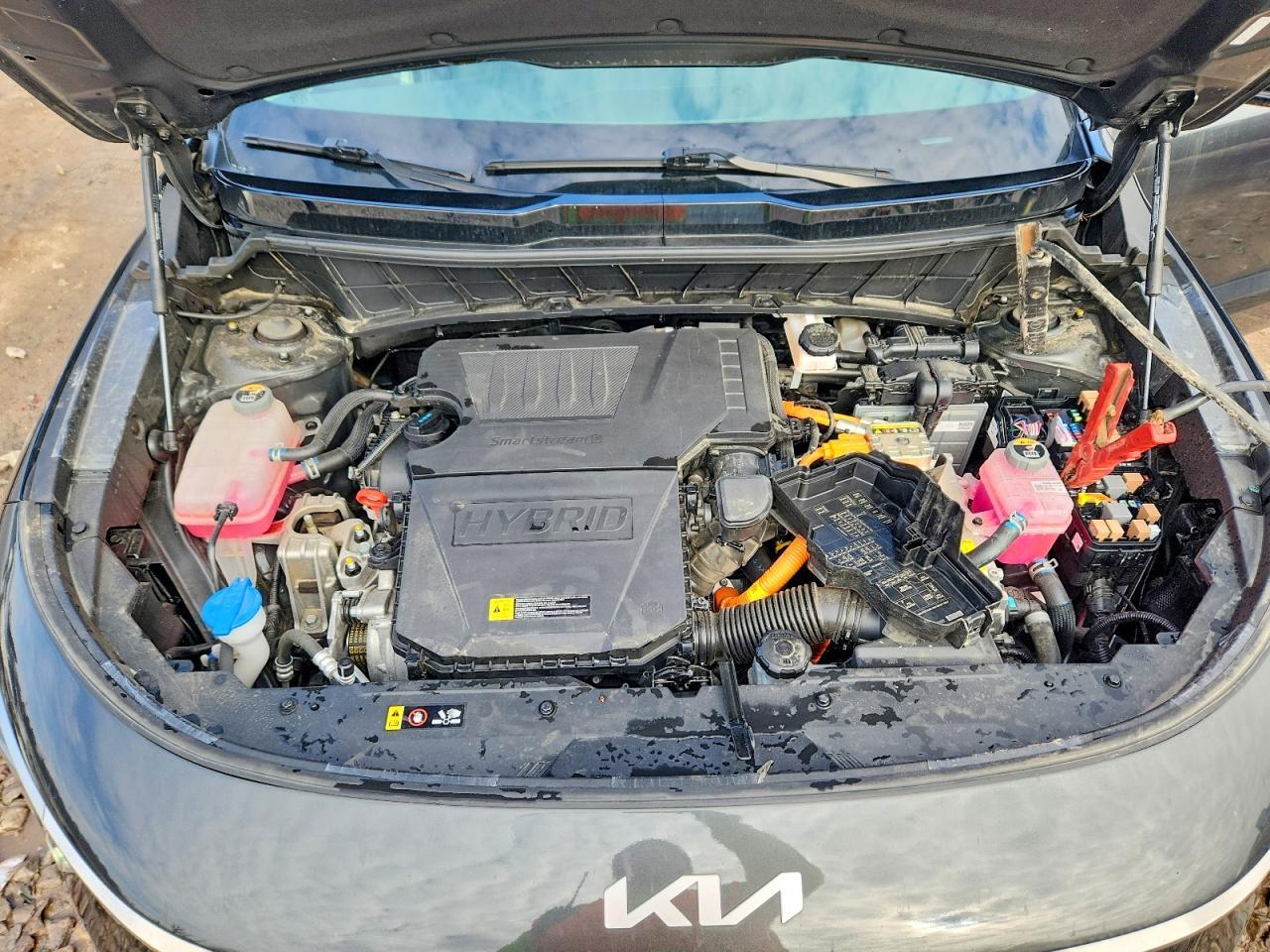 2024 KIA Niro