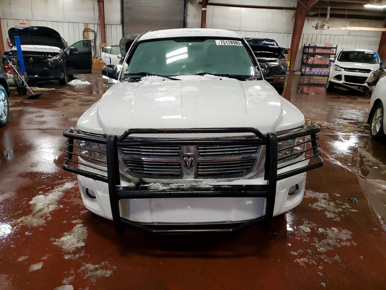 2011 DODGE Dakota