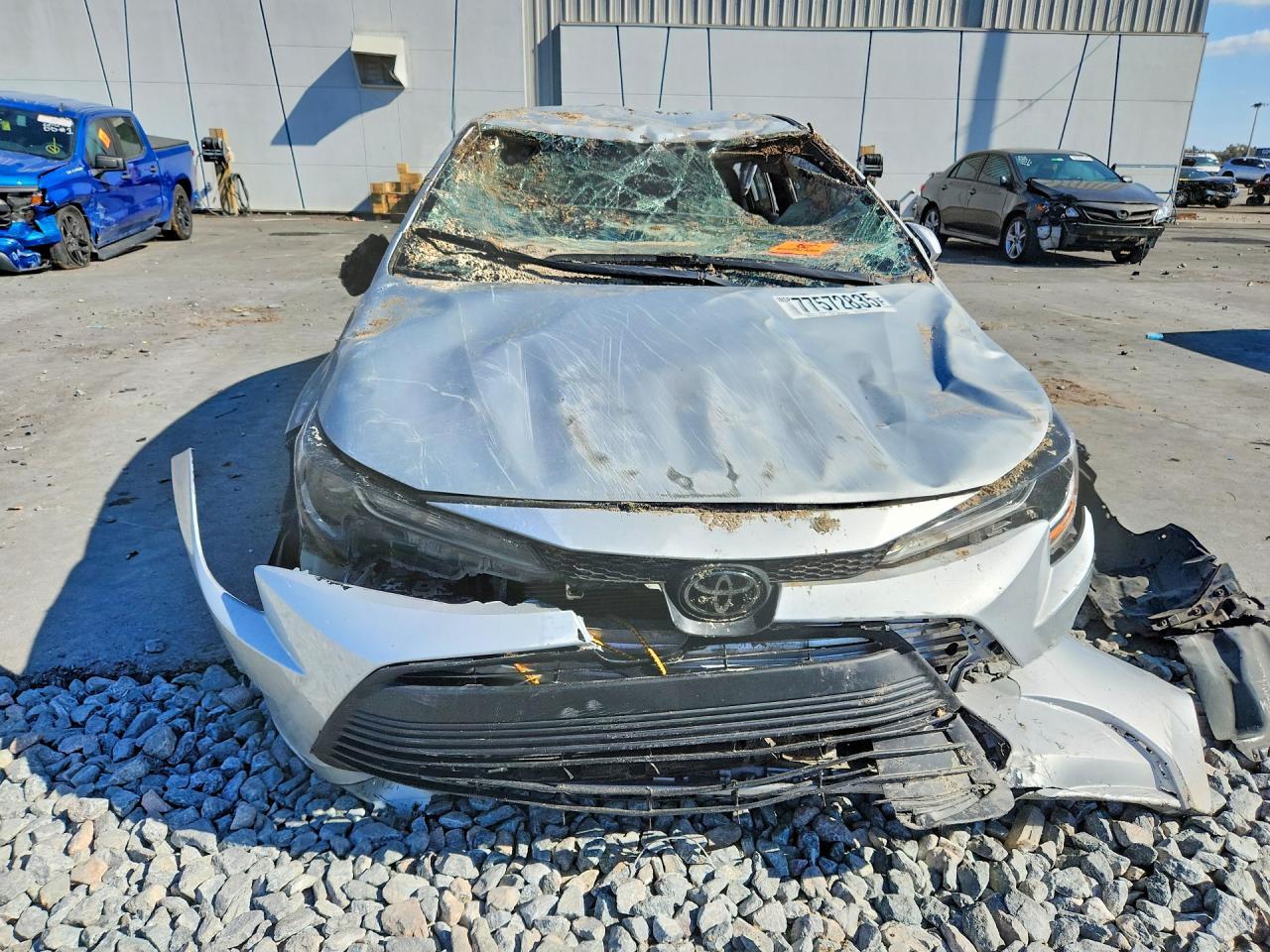 2023 TOYOTA COROLLA