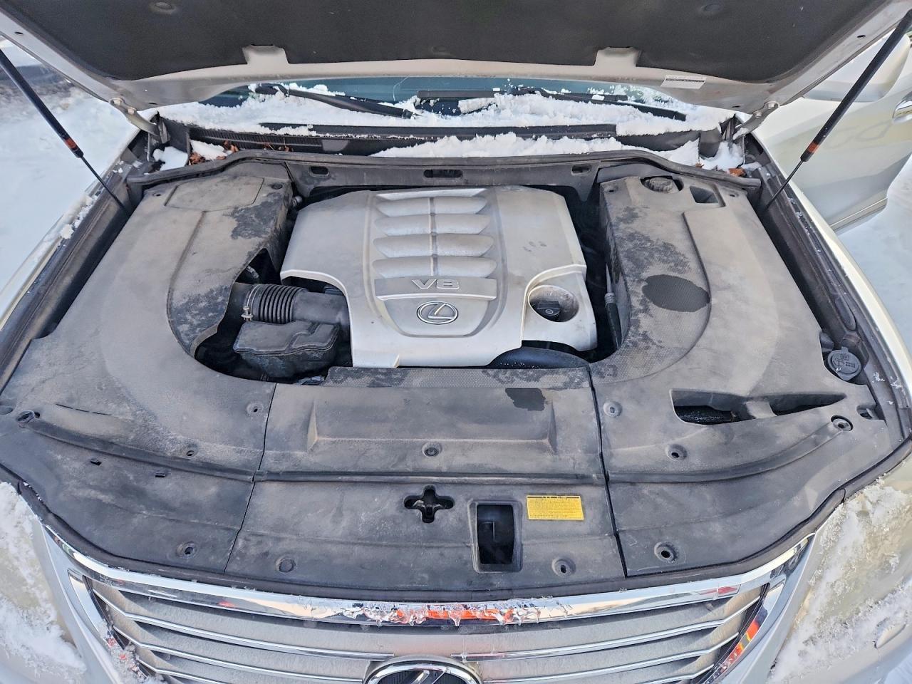 2010 LEXUS LX 570