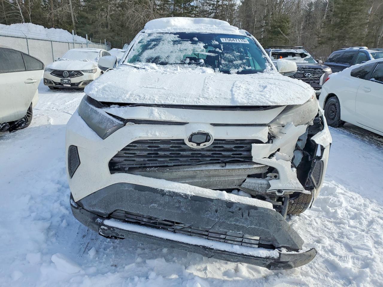 2019 TOYOTA RAV4