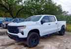 2022 CHEVROLET Silverado