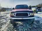 2001 TOYOTA TACOMA