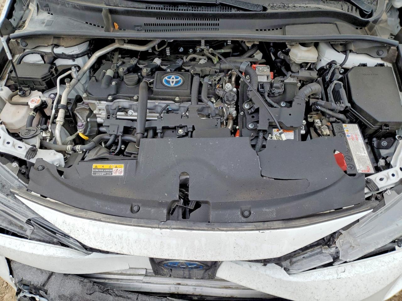 2023 TOYOTA COROLLA