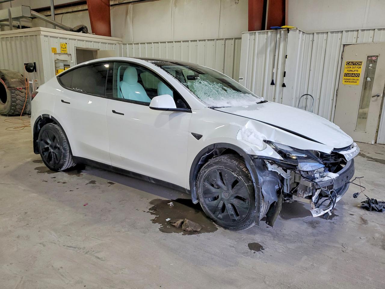 2025 TESLA MODEL Y